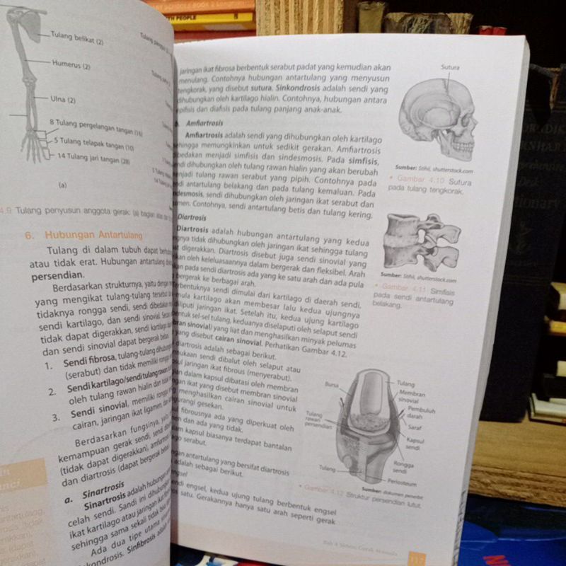 BIOLOGI UNTUK SMA/MA KELAS 11 sma peminatan