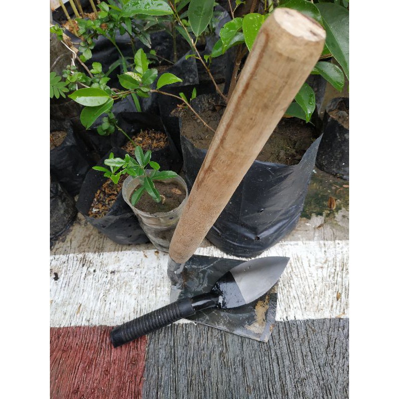 pacul dan cetok paket peralatan tanaman mini