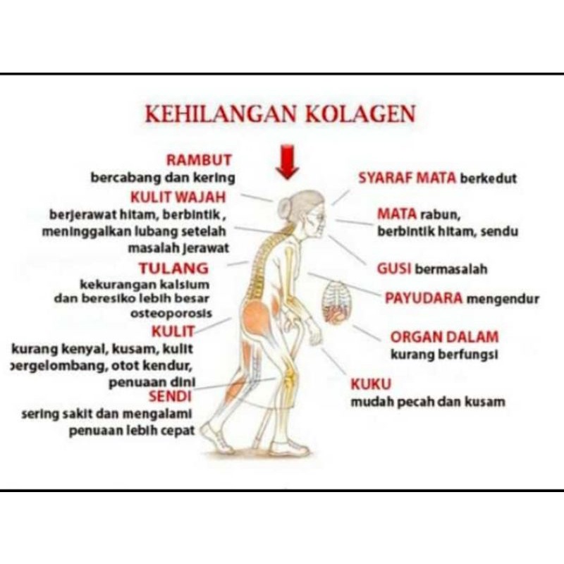 VicoBeautySuplemenMakan(denganCollactiv+Viqua)