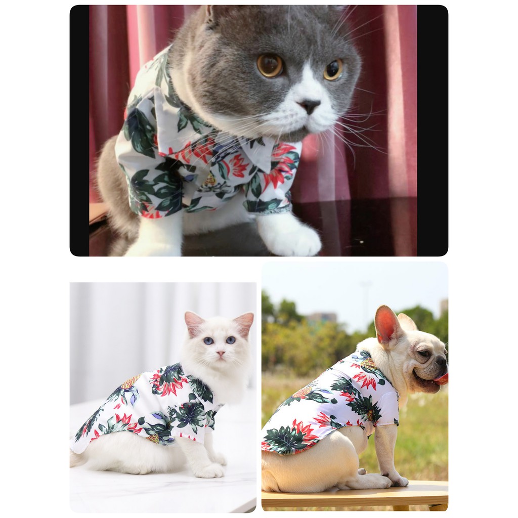 Baju Anjing Kucing | Kostum Kaos Kemeja Hawaii Aloha | Pet Aloha Hawai Shirt Clothes