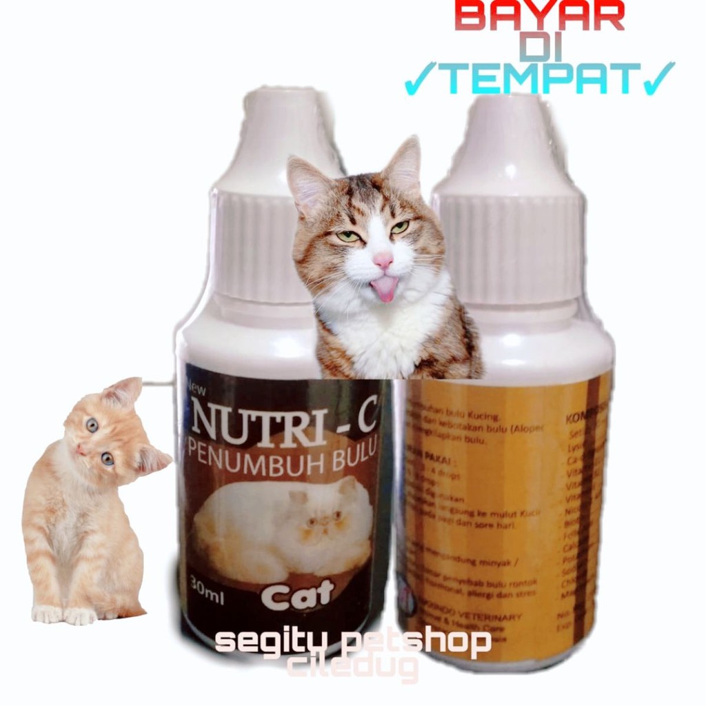 Obat Kucing Bulu Rontok Vitamin Penumbuh Bulu Kucing Nutri C