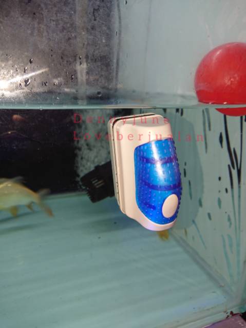 Magnet Pembersih Kaca Aquarium Glass Cleaner size S Floating