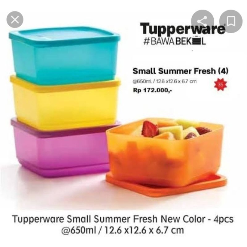 Small summer Tupperware set (4)