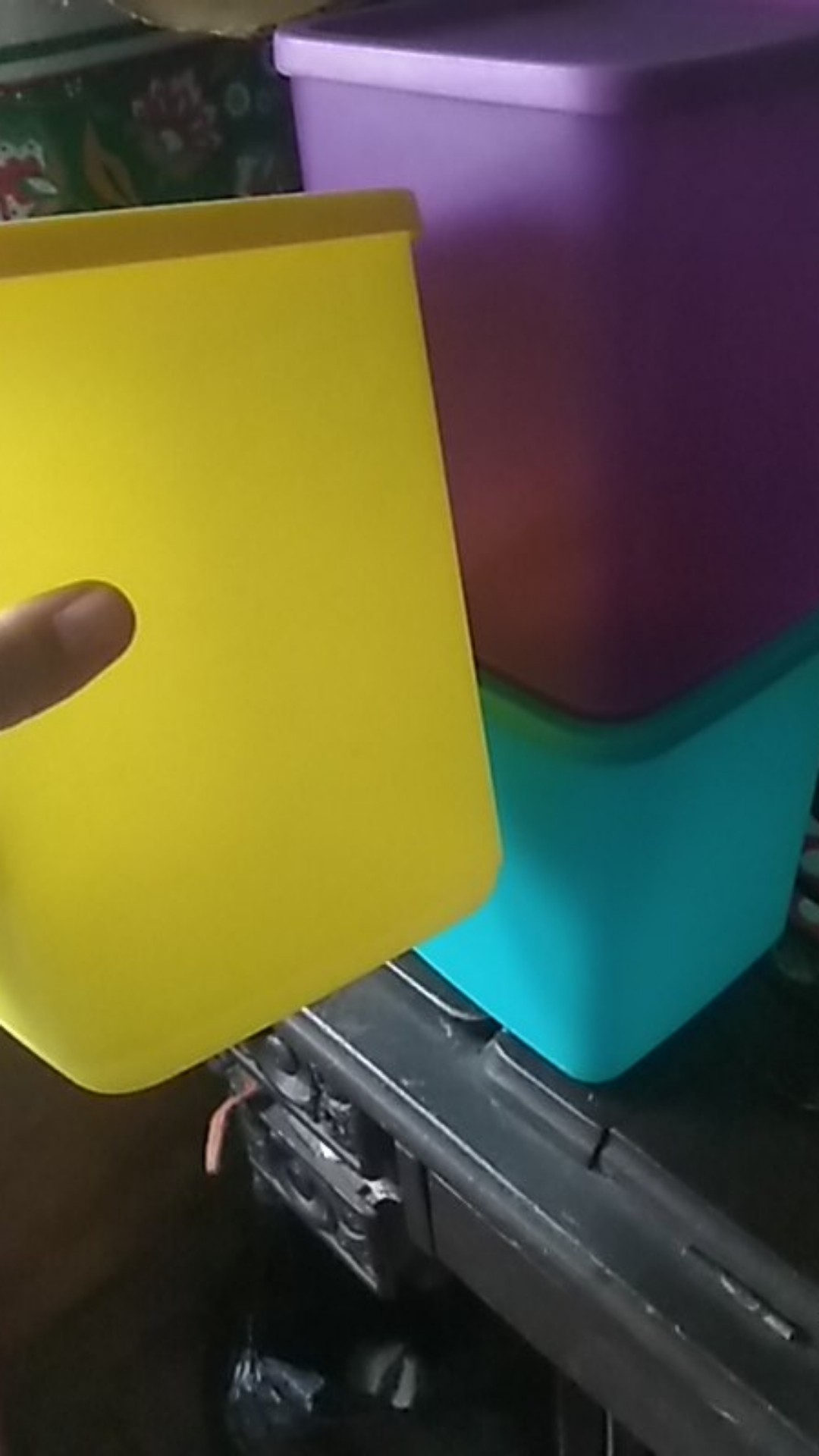 Large Summer Toples (1)