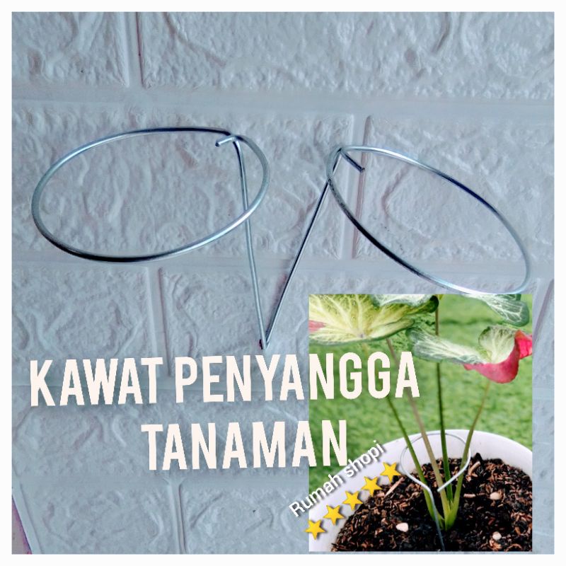 kawat penyangga tanaman turus penyangga tanaman keladi kawat bunga kawat tanaman turus bulat turus t
