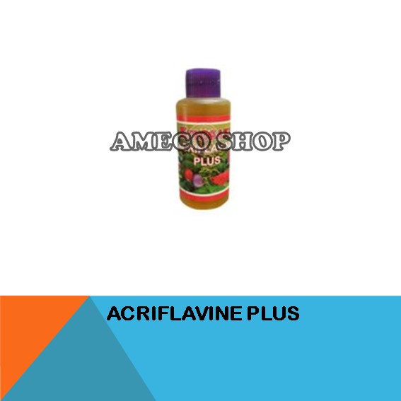 Obat Ikan Hias Acriflavine Plus 100ml