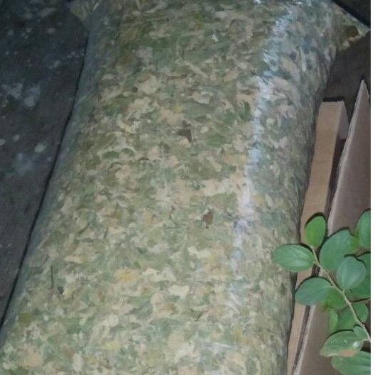 

DAUN BIDARA KERING MURAH 500 GRAM