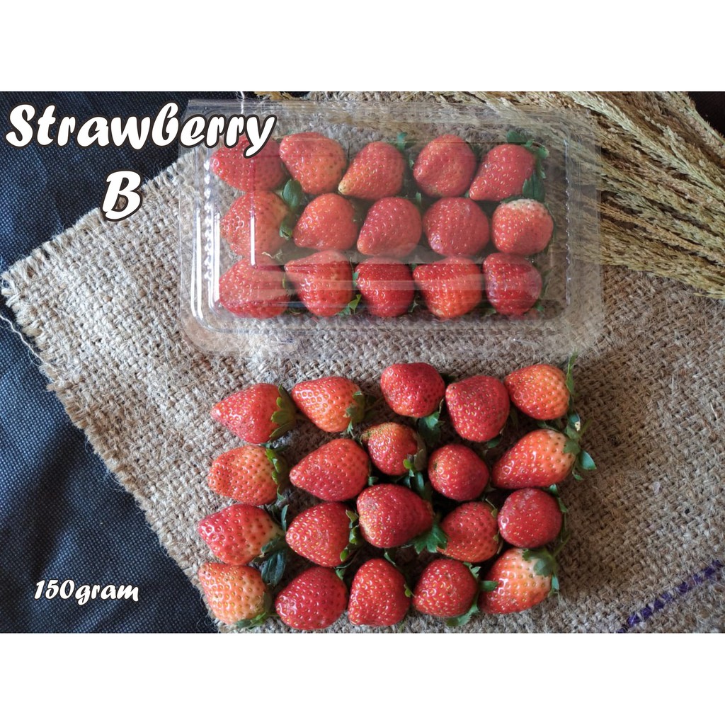 

Strawberry Grade B 150gr,strawberi,stroberi segar,fresh,harga murah,grosir