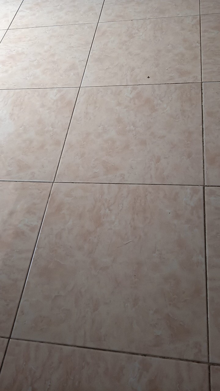 Tabasa Payung Tongkat Sunflower