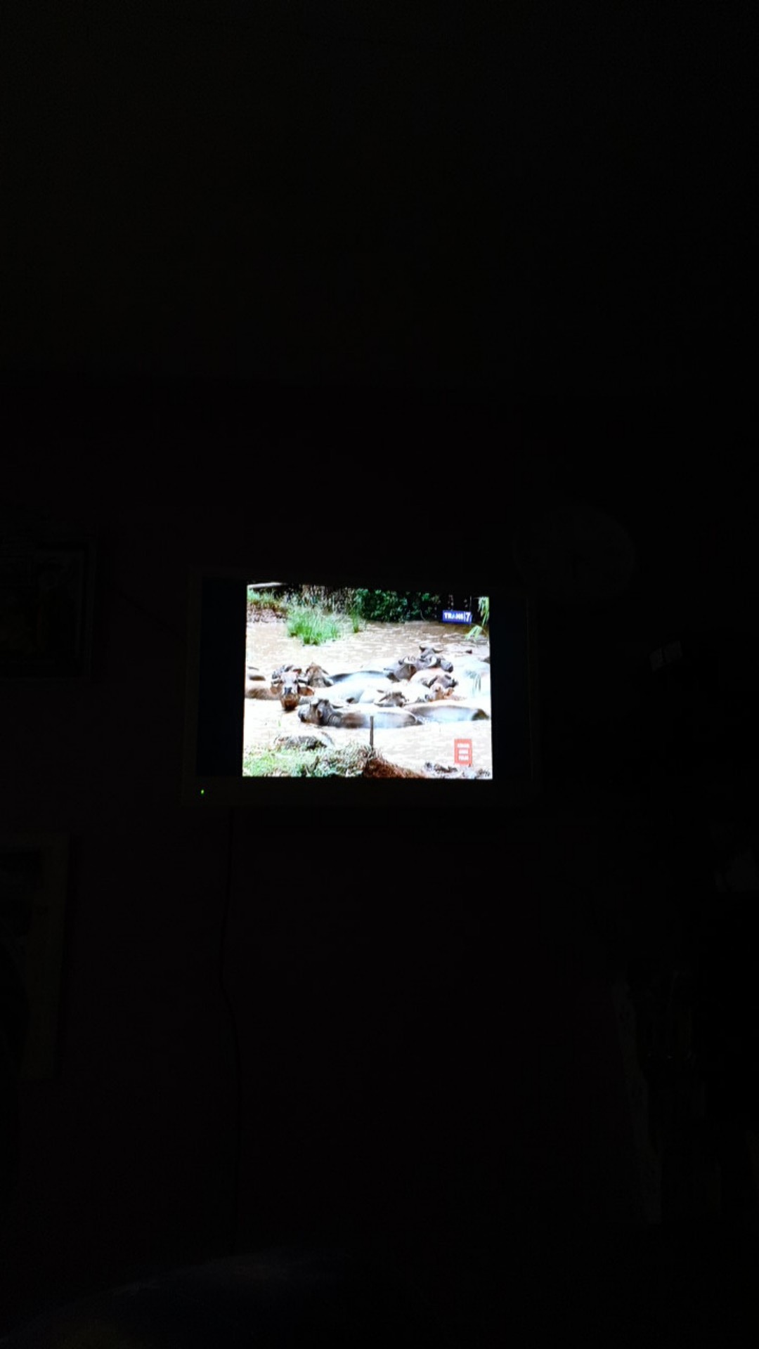 Spatula Silikon Mini - Peralatan Masak Spatula Kecil - Pengaduk Adonan - Spatula Adonan Kue Gagang