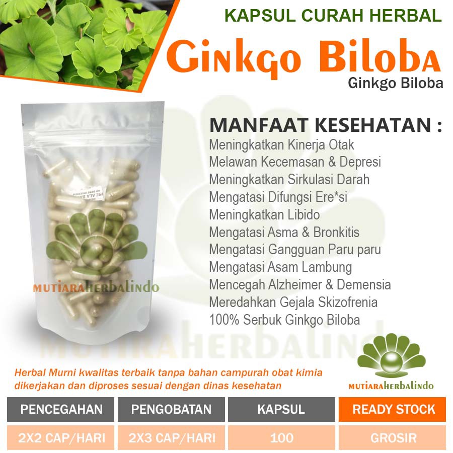 Kapsul Curah Herbal GINKGO BILOBA 100 kapsul L1b1d0 Anti Aging Kinerja Otak