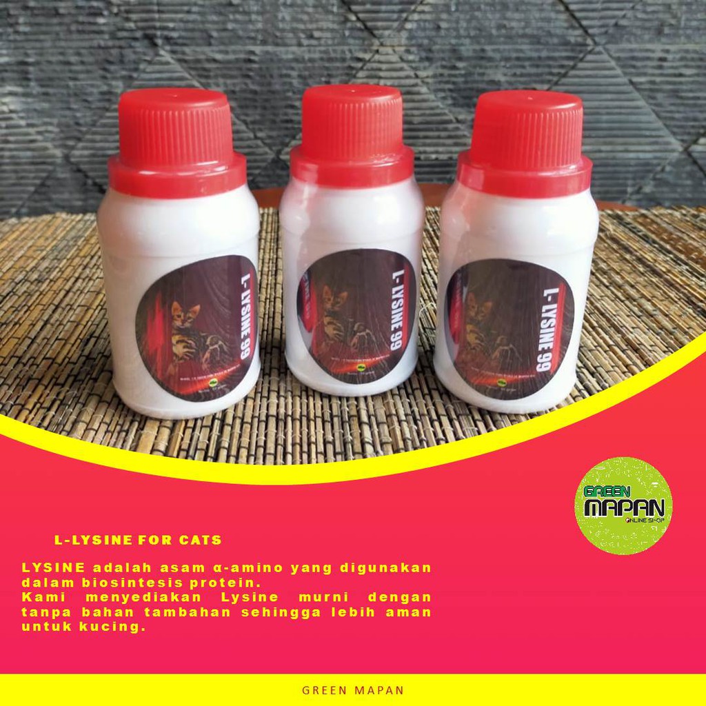 L-LYSINE - KUCING