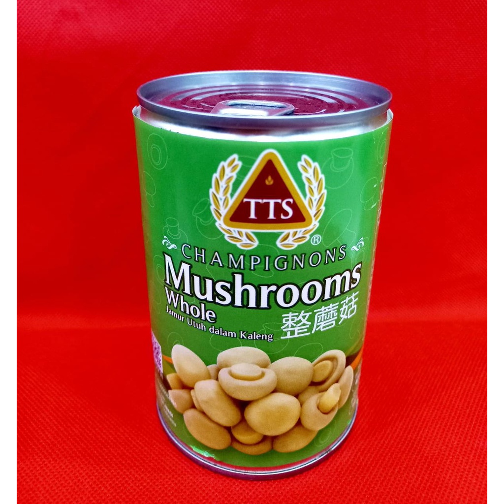 Champignons Mushroom Whole TTS Jamur Kancing 425g Tiongkok Jamur Dalam Kaleng Kemasan Baru