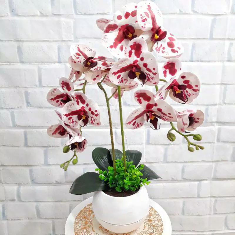 Rangkaian bunga anggrek latex bintik