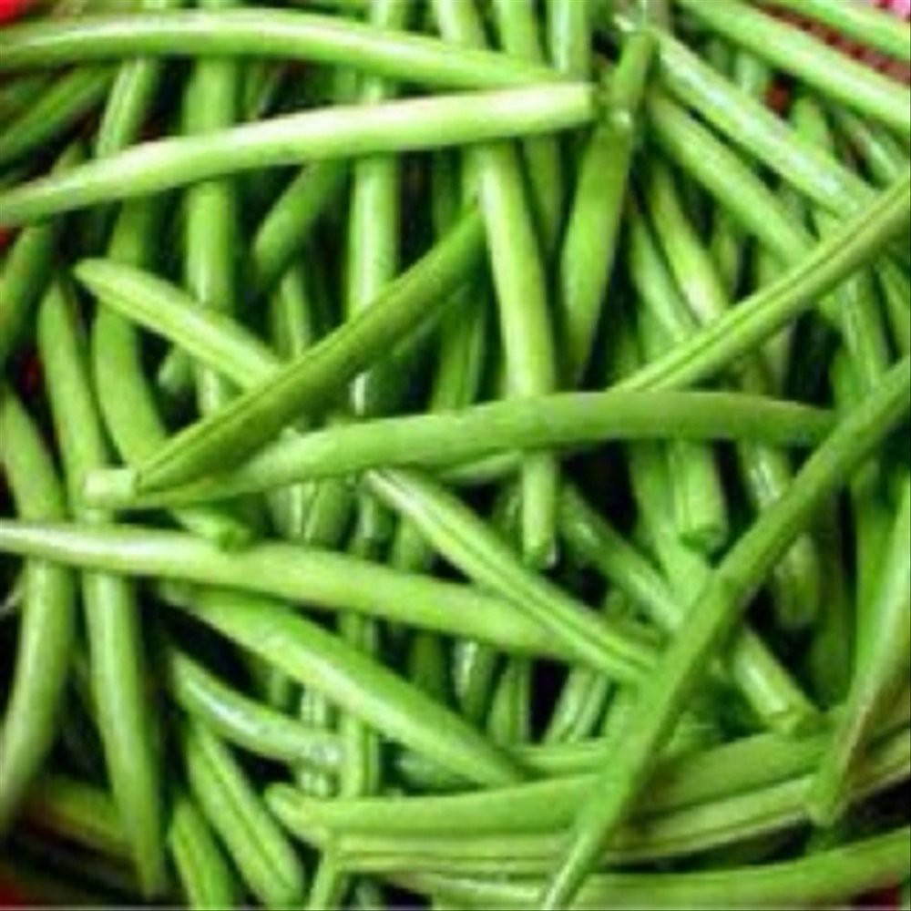 Isi 30 Biji baby buncis | SULTANFARMER42