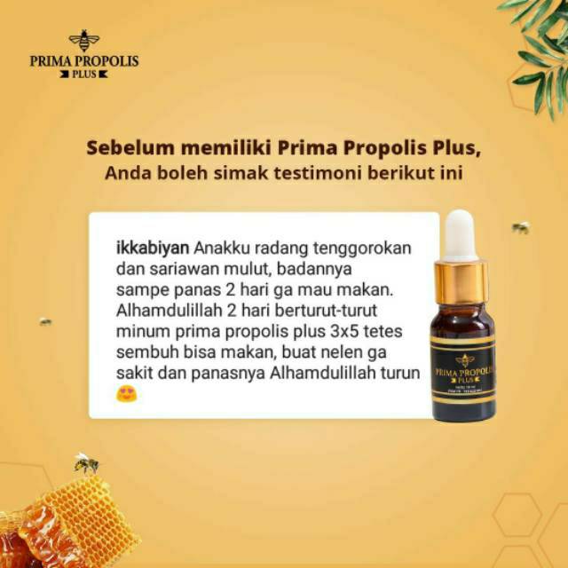 Prima Propolis Plus by B ERL // Propolis // Propolis berl / berlcosmetics / berl cosmetics / berl