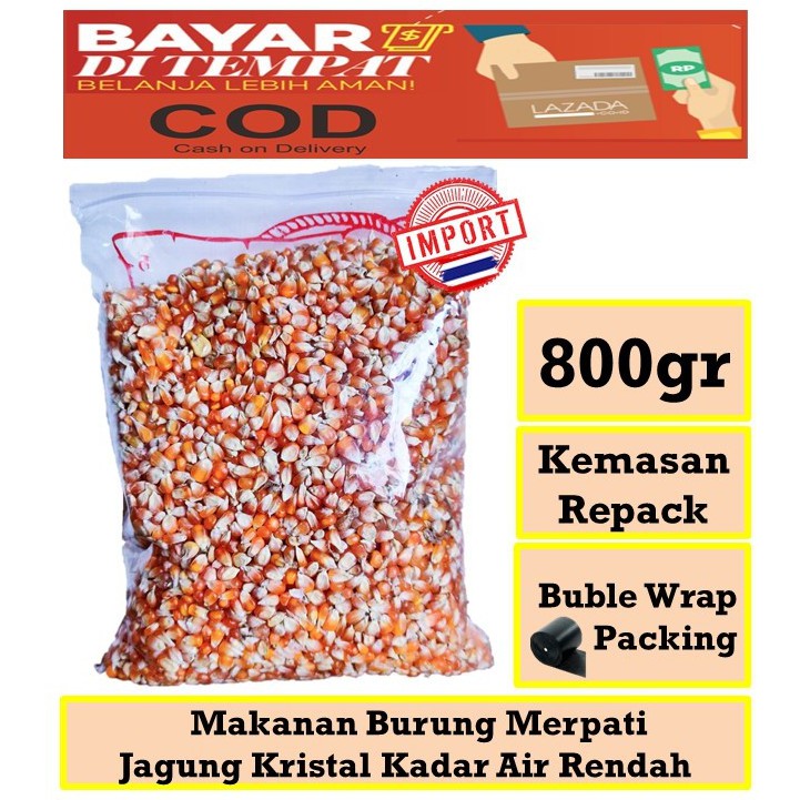 78 Gambar Bebek Ayam Burung Dara Gratis Terbaik