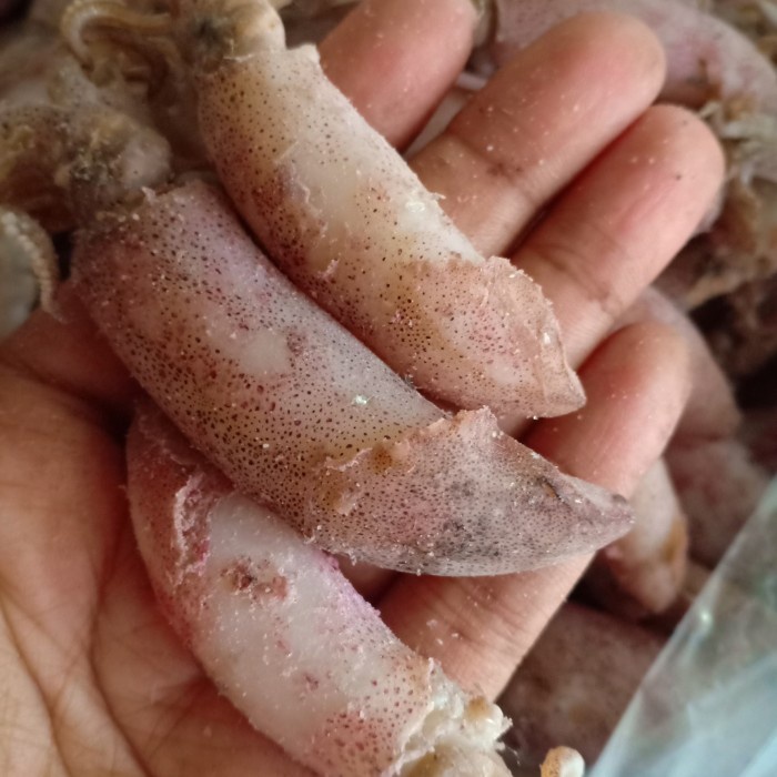 

Vs201Vv Ikan Cumi Asin Kering/Sotong Kering Per 500Gr Dscscv