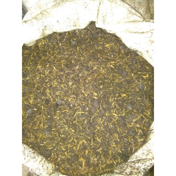 Pupuk Kandang Organik Kambing Kemasan 10Kg Pupuk Kandang