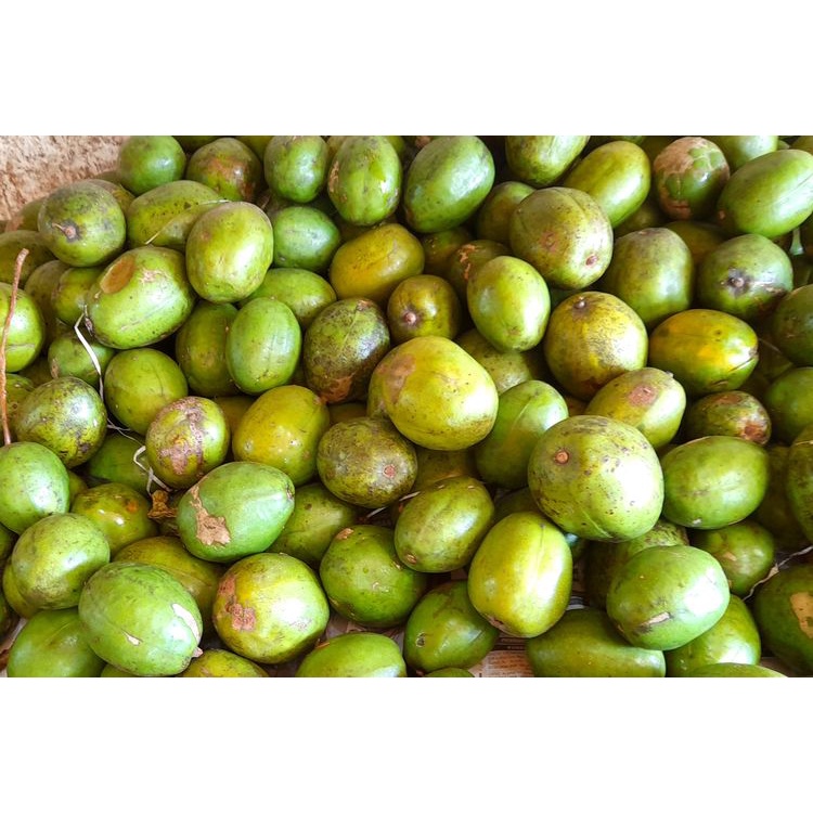 

PASAR ONLINE MURAH - KEDONGDONG BUAH RUJAK 500GR