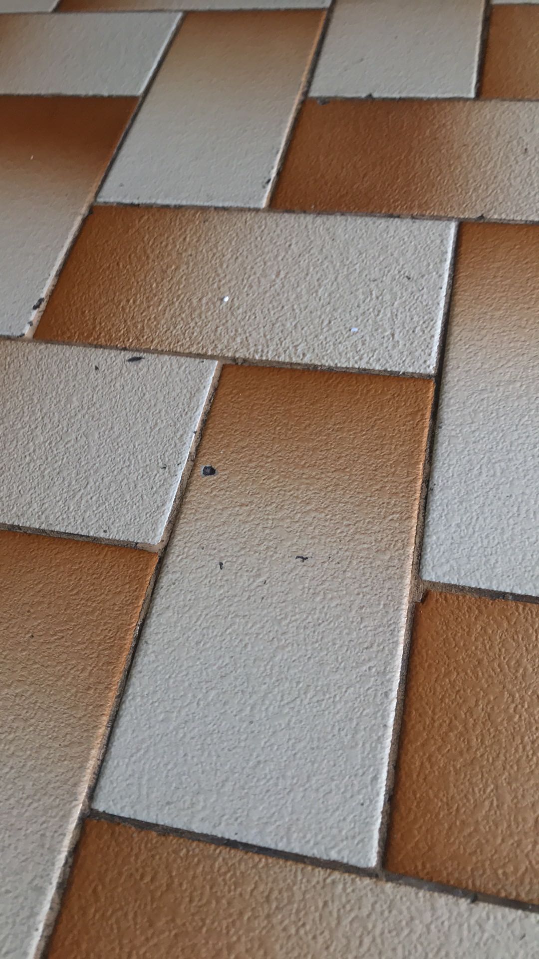 Glowlight Tetra Neon Api