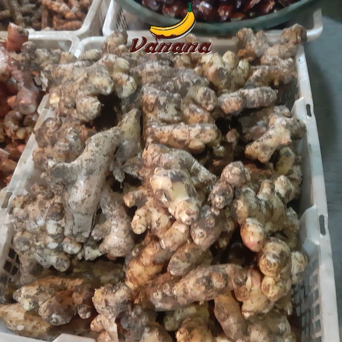 

VANANA Jahe Putih Besar/Jahe Jumbo Fresh 1/2kg (500gram)