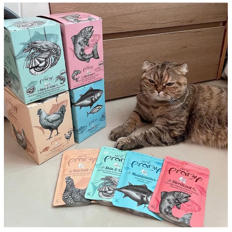 PRAMY CAT wet food pouch 70gr makanan basah kucing kitten adult senior