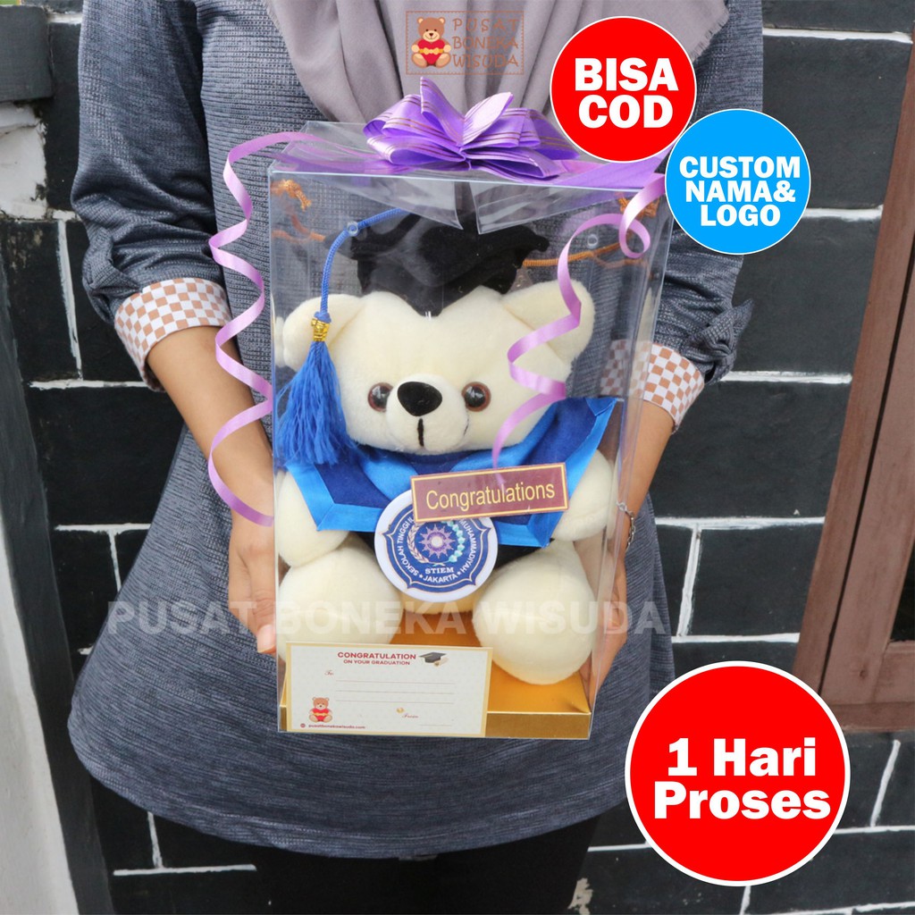 Boneka Wisuda Teddy Bear Ber Tedy Costom Kecil Mini Kado Wisuda Murah Hadiah Ulangtahun Grosir ultah