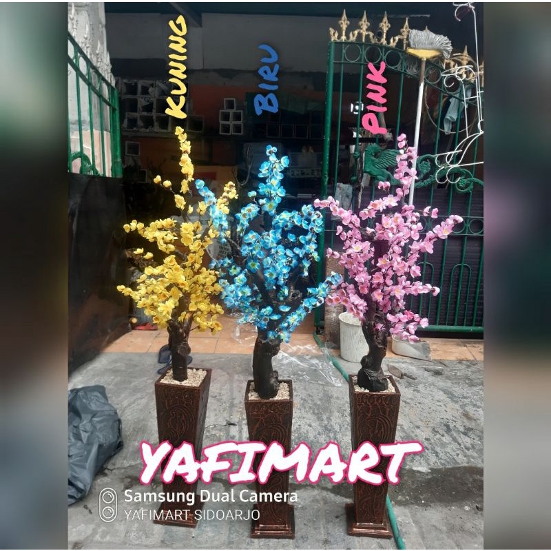 bunga sakura pojok besar tinggi 1,3m dengan pot ukir bagus banget