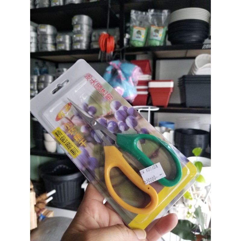 

GUNTING PRUNING IMPORT