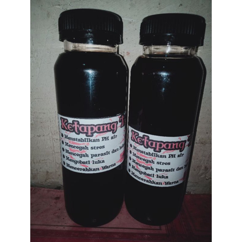 

ready ekstrak Ketapang