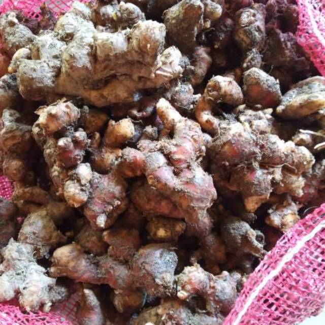 

[Bumi Mart] ANEKA JAHE | 1KG