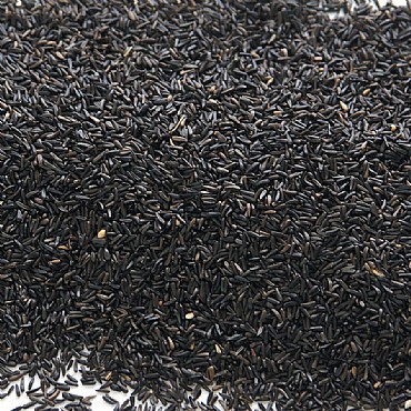 NIGER SEED BIJI NIGER 250 GRAM