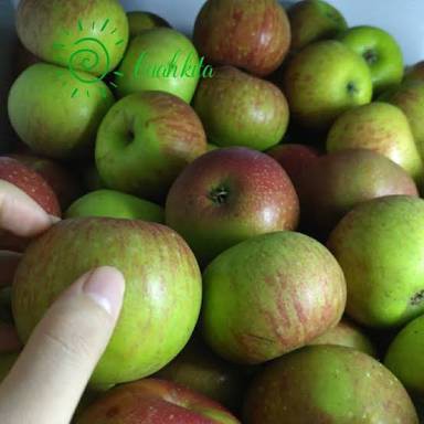 

Apel Malang Buah Segar Bandung