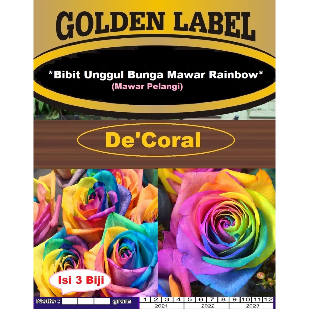 Bibit Bunga Mawar Rainbow | Benih Bunga Mawar Pelangi | Rainbow Rose