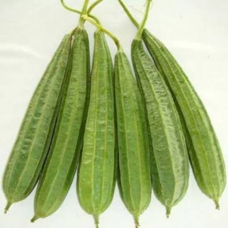 

Oyong Muda 500gr/ Sayur Oyong Beludru/ Bludru Muda