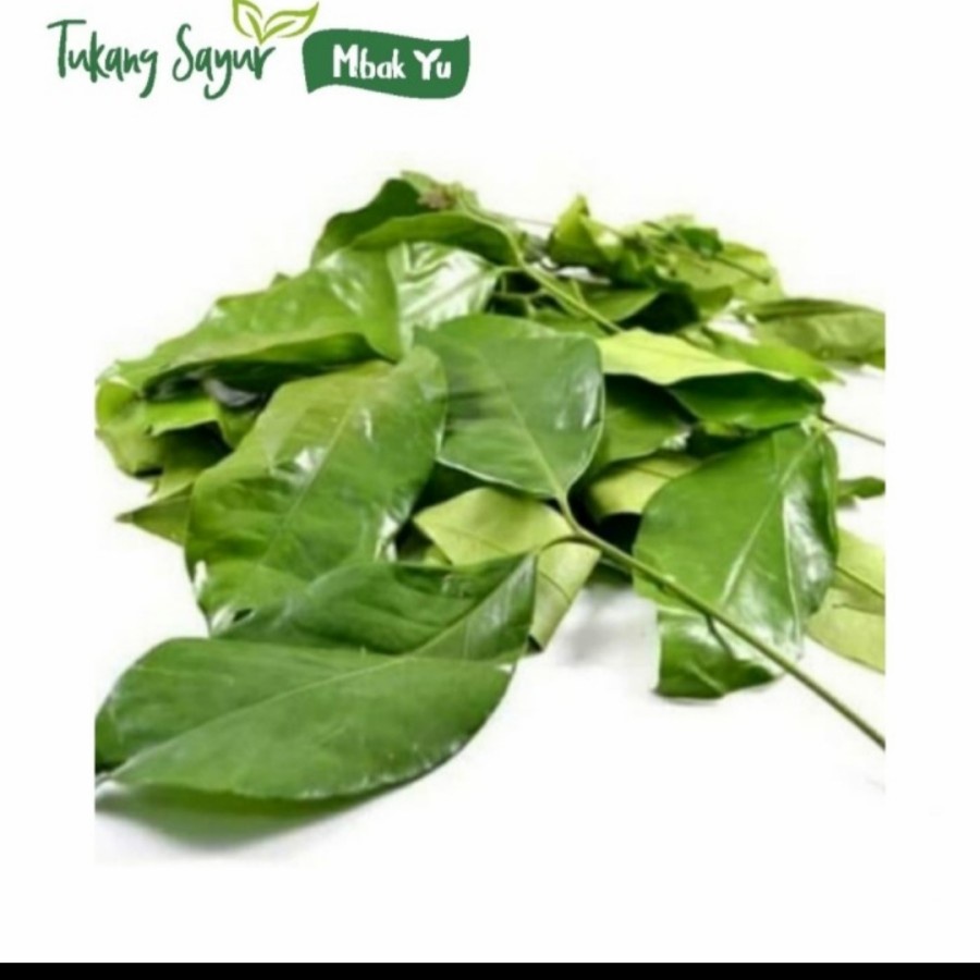 

daun melinjo per 1 kg