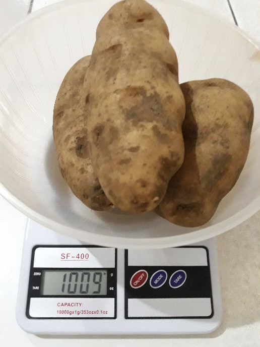 Kentang Dieng Super Jumbo (1kg)