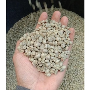 

Green Bean Kopi Arabika Fullwash Cibunar Kuningan 1kg