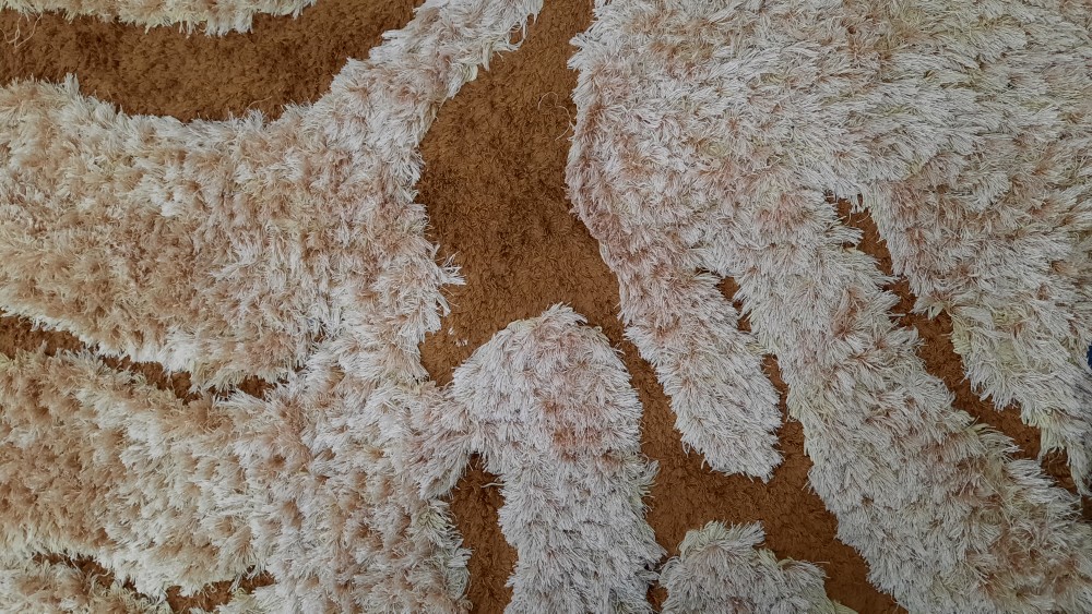 Pisau Udang Serbaguna Pisau Sayur Dapur Kecil / Pisau Dapur Buah Sayur Stainless Peeler Fruit Shrimp