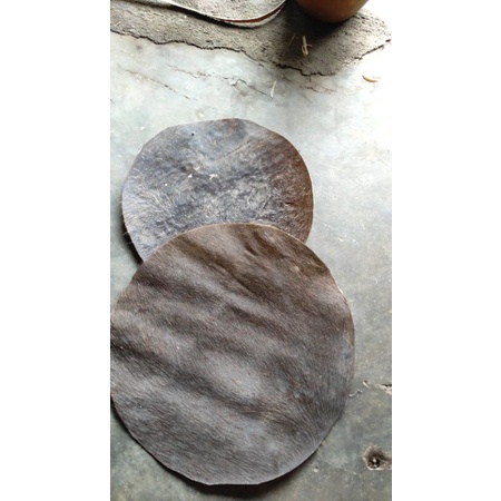 kulit kendang kerbau 50cm