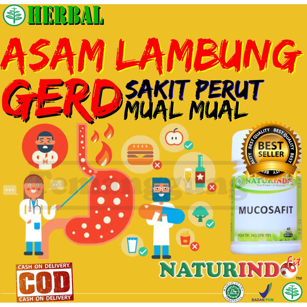 

OBAT HERBAL ASAM LAMBUNG NAIK TINGGI GERD KRONIS AKUT MUAL MAAG HERBAL AMPUH COD NATURINDO