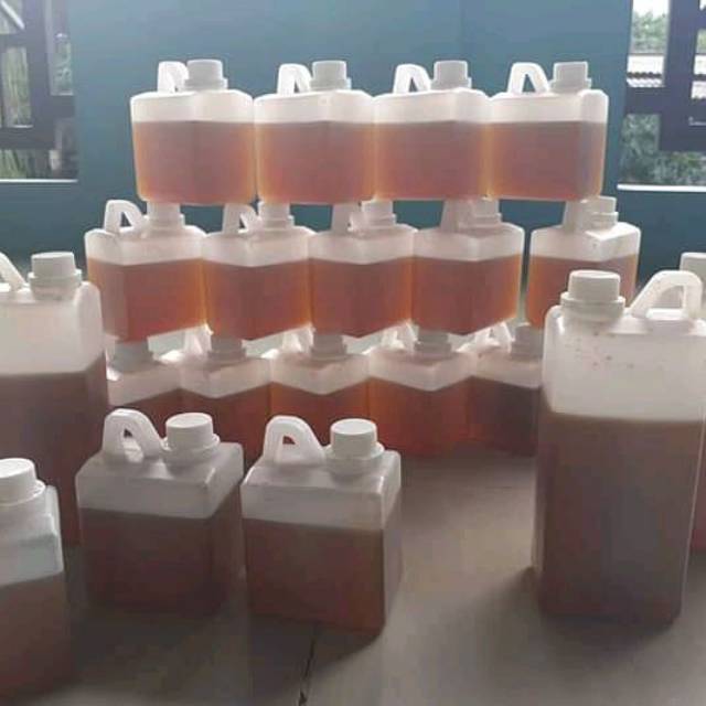 

Madu Hutan Sumatra asli