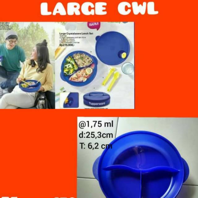 Tupperware large cwl