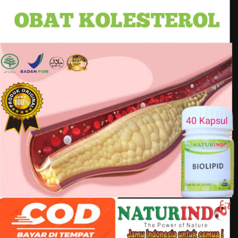 

Obat Penurun Kolesterol Tinggi Kolestrol Ampuh Darah Tinggi Herbal Biolipid