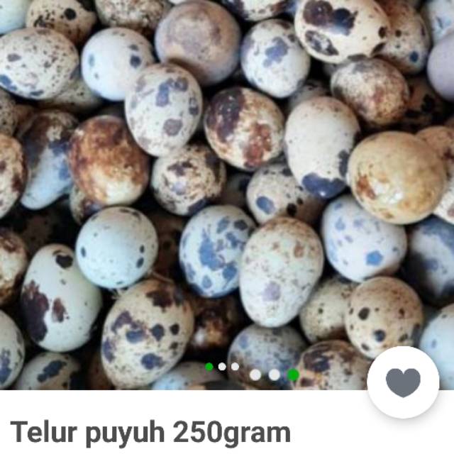 

Sayr kota tangerang telor puyuh mentah