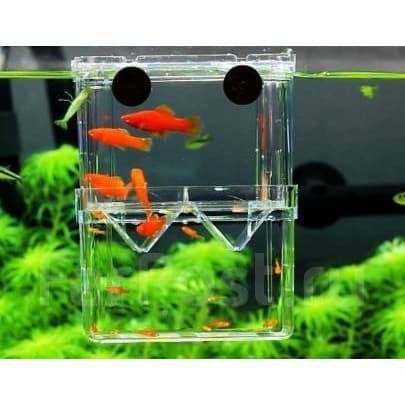 Aquarium Baby Fish Tank Sunsun Breeding Box SX-13 Box Isolation