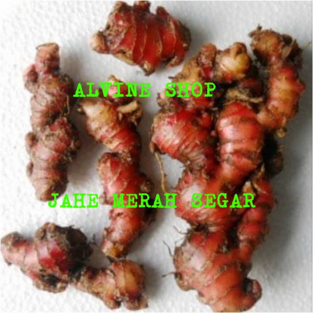 JAHE MERAH SEGAR ALAMI 500gr