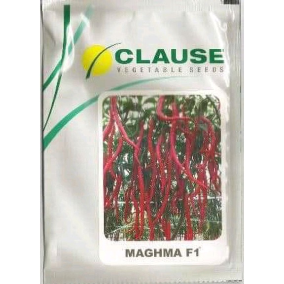 Benih CABE KRITING MAGHMA F1 isi 10gram