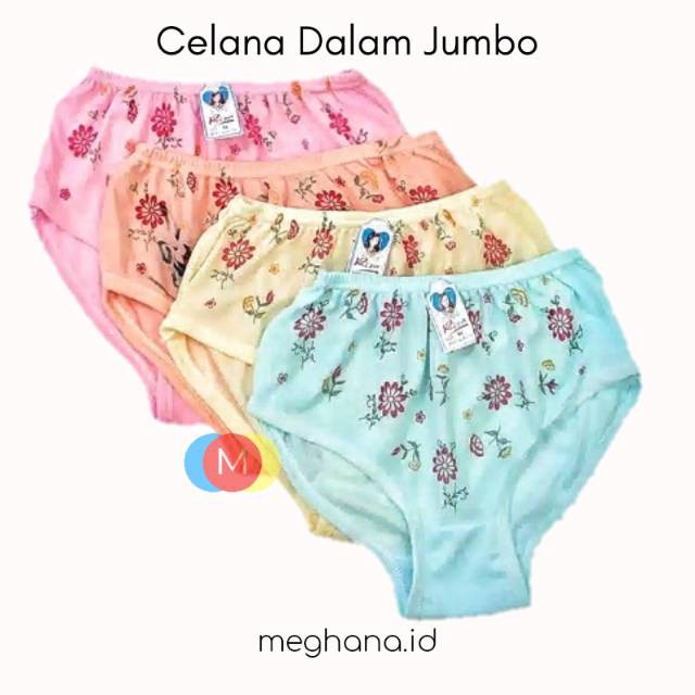 Undies Celana Dalam CD Wanita CD Dewasa Merk Riza Big Size Jumbo Size 5L